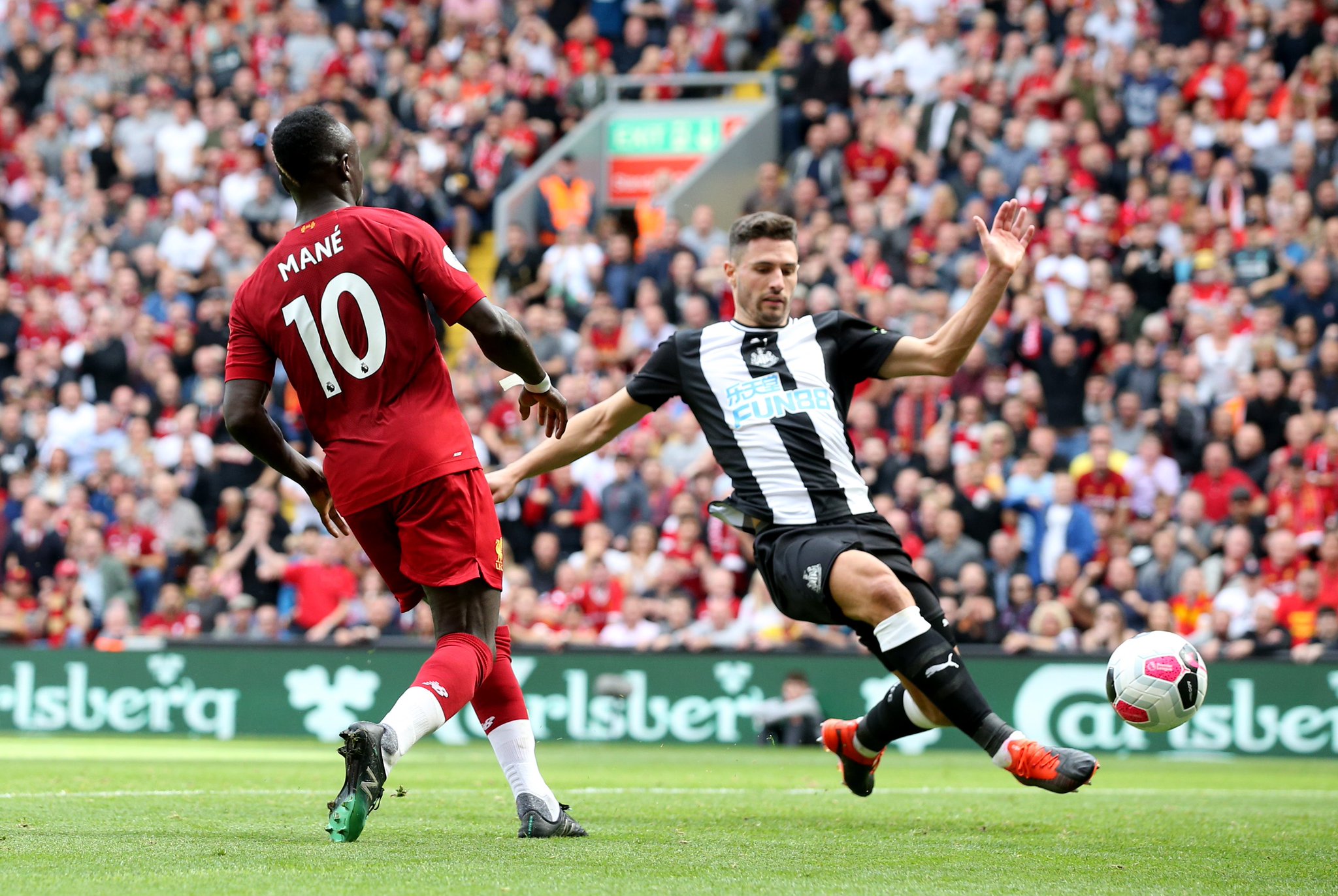 因其狂热的 因其狂热的