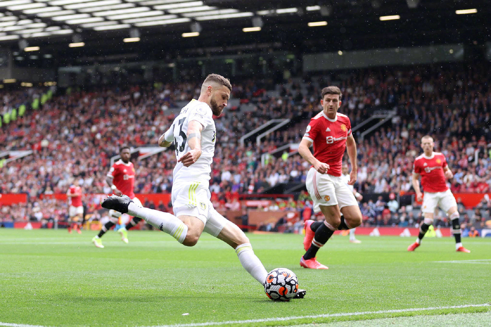 年轻而具有 年轻而具有